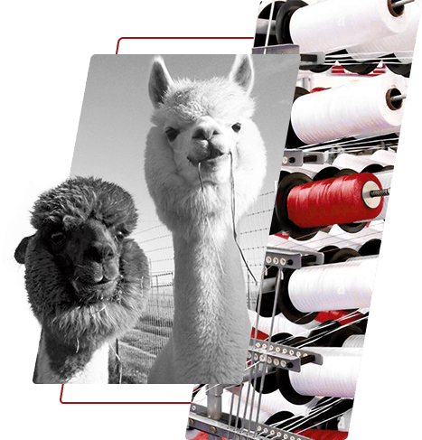 염색 된 폴리 에스테르 원사